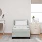 Preview: Boxspringbett mit Kopfteil Hellgrau 200 x 80 cm Samt