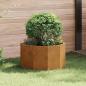 Preview: ARDEBO.de - Pflanzkübel Rostig 60 x 60 x 35 cm Wetterfeststahl
