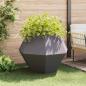 Preview: Pflanzkübel 2 pcs Schwarz 100 x 100 x 80 cm Stahl