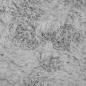 Preview: Kunstfell Hasen Teppich Grau 80 x 200 cm Polyester