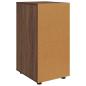 Preview: Aufbewahrungsschrank Braun Eichen-Optik 40 x 48 x 81 cm