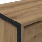 Preview: TV-Schränk 100 x 36 x 49,5 cm Kunsthandwerk Eiche Holzwerkstoff