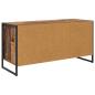 Preview: TV-Schränk Altholz 100 x 36 x 49.5 cm Holzwerkstoff