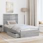 Preview: Aufbewahrungsbett Graues Sonoma 90 x 200 cm Holzwerkstoff