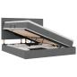 Preview: Aufbewahrungsbett Dunkelgrau 180 x 200 cm Kunstleder