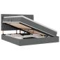 Preview: ARDEBO.de - Aufbewahrungsbett Dunkelgrau 160 x 200 cm Kunstleder