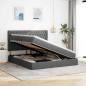 Preview: Aufbewahrungsbett Dunkelgrau 160 x 200 cm Kunstleder