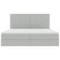 Preview: Bett mit Stauraum und LED Hellgrau 200 x 200 cm Samt
