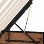 Preview: Aufbewahrungsbett mit Matratze mit Matratze 2 pcs Schwarz Leder