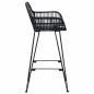 Preview: Barstuhl 2 pcs Schwarz 55 x 52 x 92 cm Rattan und Eisen