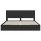 Preview: Aufbewahrungsbett Schwarz 200 x 200 cm Holzwerkstoff