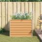 Preview: Hochbeet Hellbraun 100 x 100 x 77 cm Verzinkter Stahl