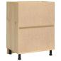 Preview: ARDEBO.de - Schrank mit Regal Honig 60 x 46 x 81,5 cm Massives Kiefernholz