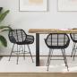 Preview: ARDEBO.de - Esszimmerstuhl 2 pcs Schwarz 55 x 50 x 74 cm Rattan und Eisen