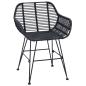 Preview: Esszimmerstuhl 2 pcs Schwarz 55 x 50 x 74 cm Rattan und Eisen