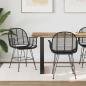 Preview: ARDEBO.de - Esszimmerstuhl 2 pcs Schwarz 57 x 54,5 x 85 cm Rattan und Eisen