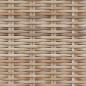 Preview: Sitzbank mit Stauraum mit Kissen Natur 110 x 40 x 50 cm Rattan