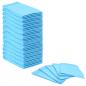 Preview: ARDEBO.de - Haustier Training Pad 50 pcs Blau und Weiß 60 x 60 cm