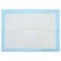 Preview: Haustier Training Pad Uni 200 pcs 45 x 33 cm