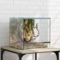 Preview: ARDEBO.de - Reptilien- und Amphibienhabitate Weiß 30 x 30 x 30 cm Glas
