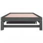 Preview: Tagesbett Ausziehbar Grau 2x(90x200) cm Massivholz Kiefer