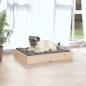 Preview: Hundebett 61,5x49x9 cm Massivholz Kiefer