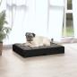 Preview: Hundebett Schwarz 61,5x49x9 cm Massivholz Kiefer