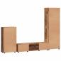 Preview: TV-Schrankset mit Schubladen mit Regal Altholz Holzwerkstoff