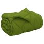 Preview: Winterbettdecke Grün 220 x 155 cm Mikrofaser