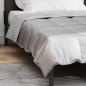 Preview: Ganzjahresbettdecke 155 x 200 cm 300 g/m² Silber
