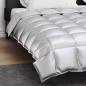 Preview: Winterbettdecke Silber 220 x 200 cm Satin und Mikrofaser