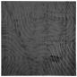 Preview: Bereichsteppiche PALMERAS Anthrazit 200 x 200 cm Polyester
