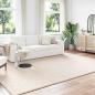 Preview: ARDEBO.de - Bereichsteppiche Rechtwinklig Beige 340 x 240 cm