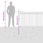 Preview: Spitzenzaun Schwarz 200 x 150 cm Pulverbeschichteter Stahl