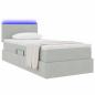 Preview: ARDEBO.de - Bett mit Stauraum und LED mit LED Hellgrau 100 x 200 cm Samt