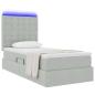Preview: ARDEBO.de - Bett mit Stauraum und LED mit LED Hellgrau 100 x 200 cm Samt