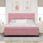 Preview: LED Boxspringbett mit Matratze Rosa 180 x 200 cm Stoff