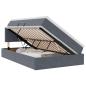 Preview: Bett mit Stauraum und LED mit LED Dunkelgrau 120 x 190 cm Samt