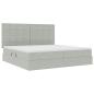 Preview: Bett mit Stauraum und LED mit LED Hellgrau 200 x 200 cm Samt