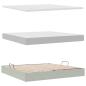 Preview: Bett mit Stauraum und LED mit LED Hellgrau 200 x 200 cm Samt