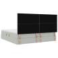 Preview: Bett mit Stauraum und LED mit LED Hellgrau 200 x 200 cm Samt