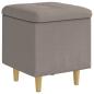 Preview: Aufbewahrungsottomane mit Kissen Taupe 40 x 40 x 45 cm Stoff
