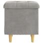 Preview: Aufbewahrungsottomane mit Kissen Hellgrau 40 x 40 x 45 cm Samt