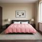 Preview: Sommerdecke 220 x 260 cm Sommer Mikrofaser (100% Polyester)