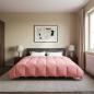 Preview: Ganzjahresbettdecke 200 x 220 cm 4 Jahreszeiten Rosa