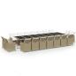 Preview: 19-tlg. Garten-Essgruppe mit Kissen Poly Rattan Beige
