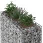 Preview: Gabionen-Hochbeet 2 stk. 130 x 50 x 150 cm Verzinkter Stahl