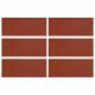 Preview: Gehwegstein 6 stk. Rot 60,5 x 25 x 2 cm Gummi