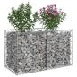 Preview: Gabionen-Hochbeet 100 x 50 x 60 cm Verzinkter Stahl Silber