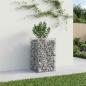 Preview: Gabionen-Hochbeet 50 x 50 x 80 cm Verzinkter Stahl Silber